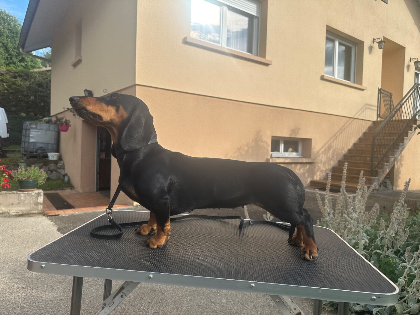 Veronika De Teremok De Anastasia